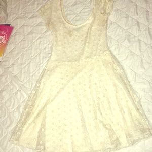 Beige Lace Skater Dress